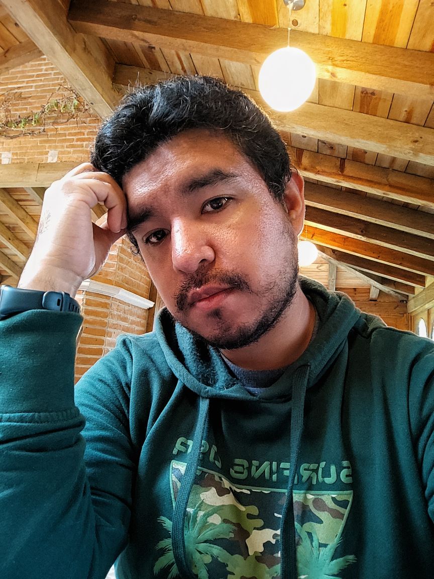 Rafael profile