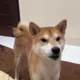 Chloe profile