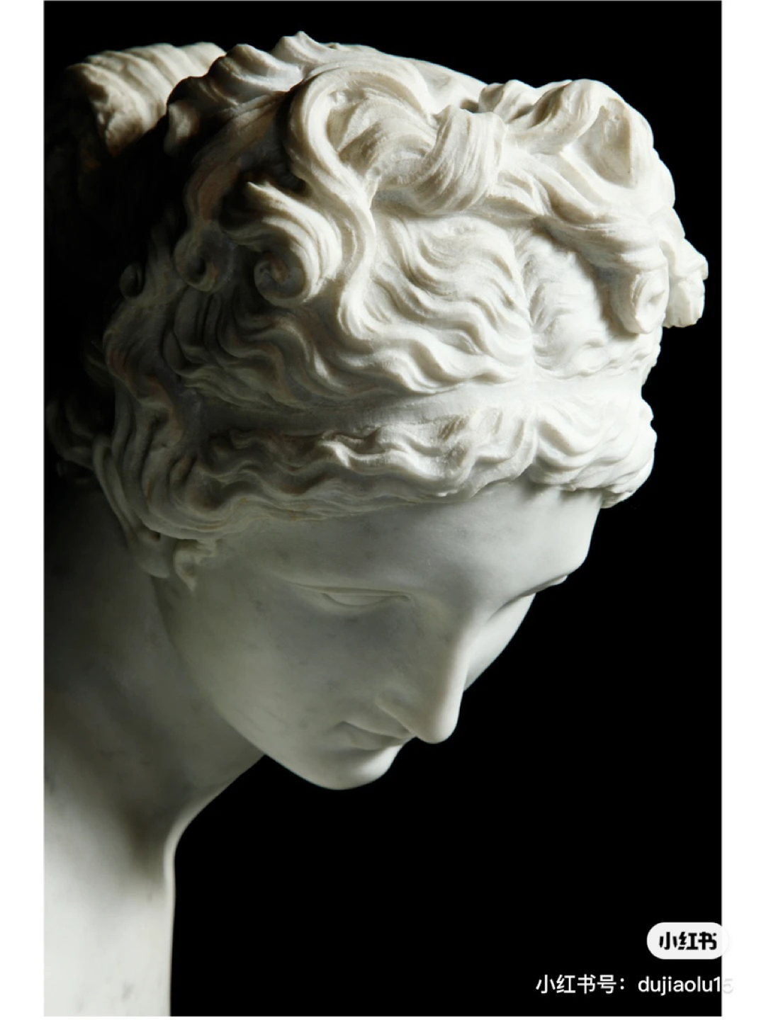 Denise profile