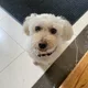 Maddy profile