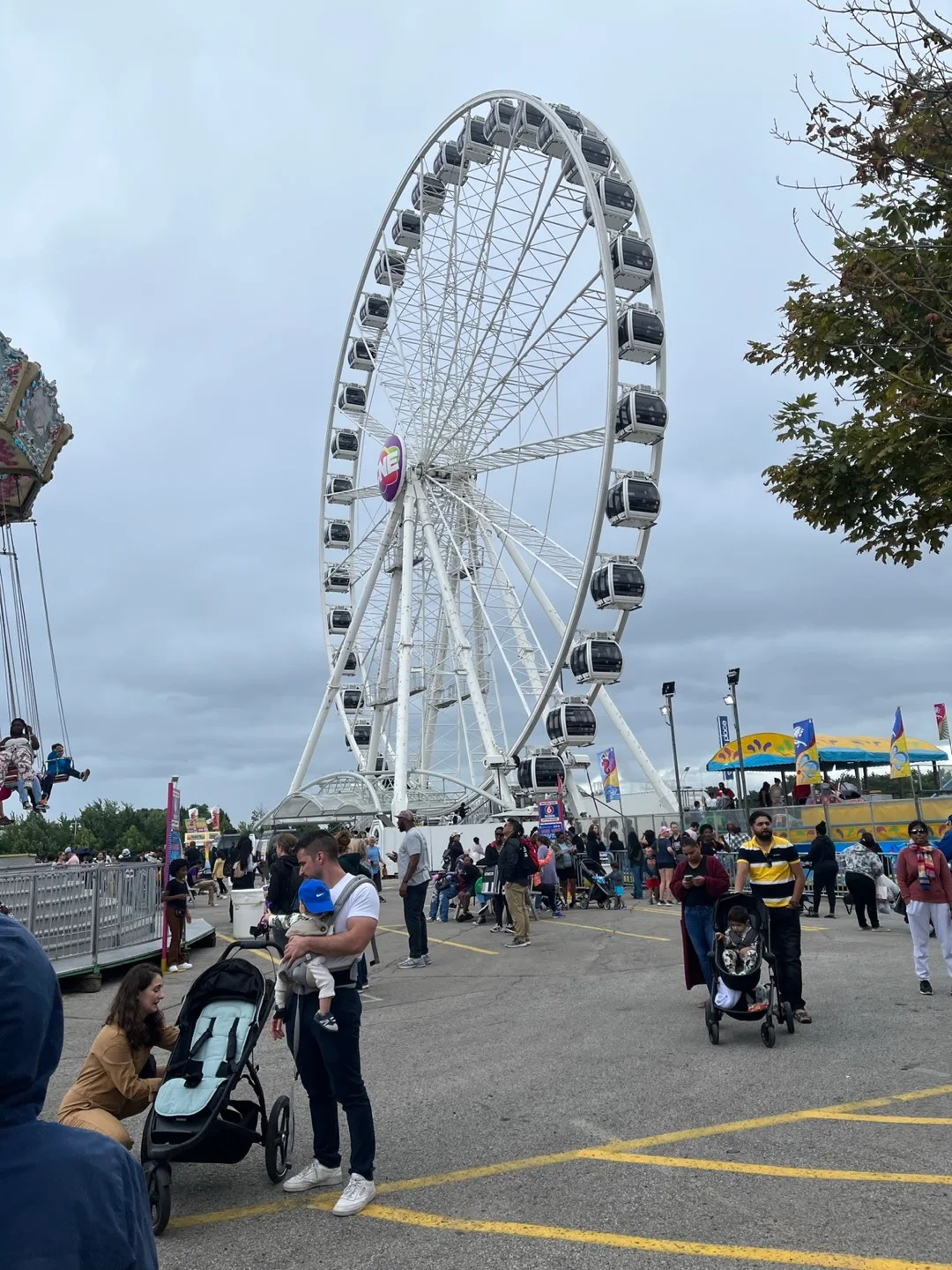 Declutterbug profile