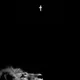 Henry Testa profile