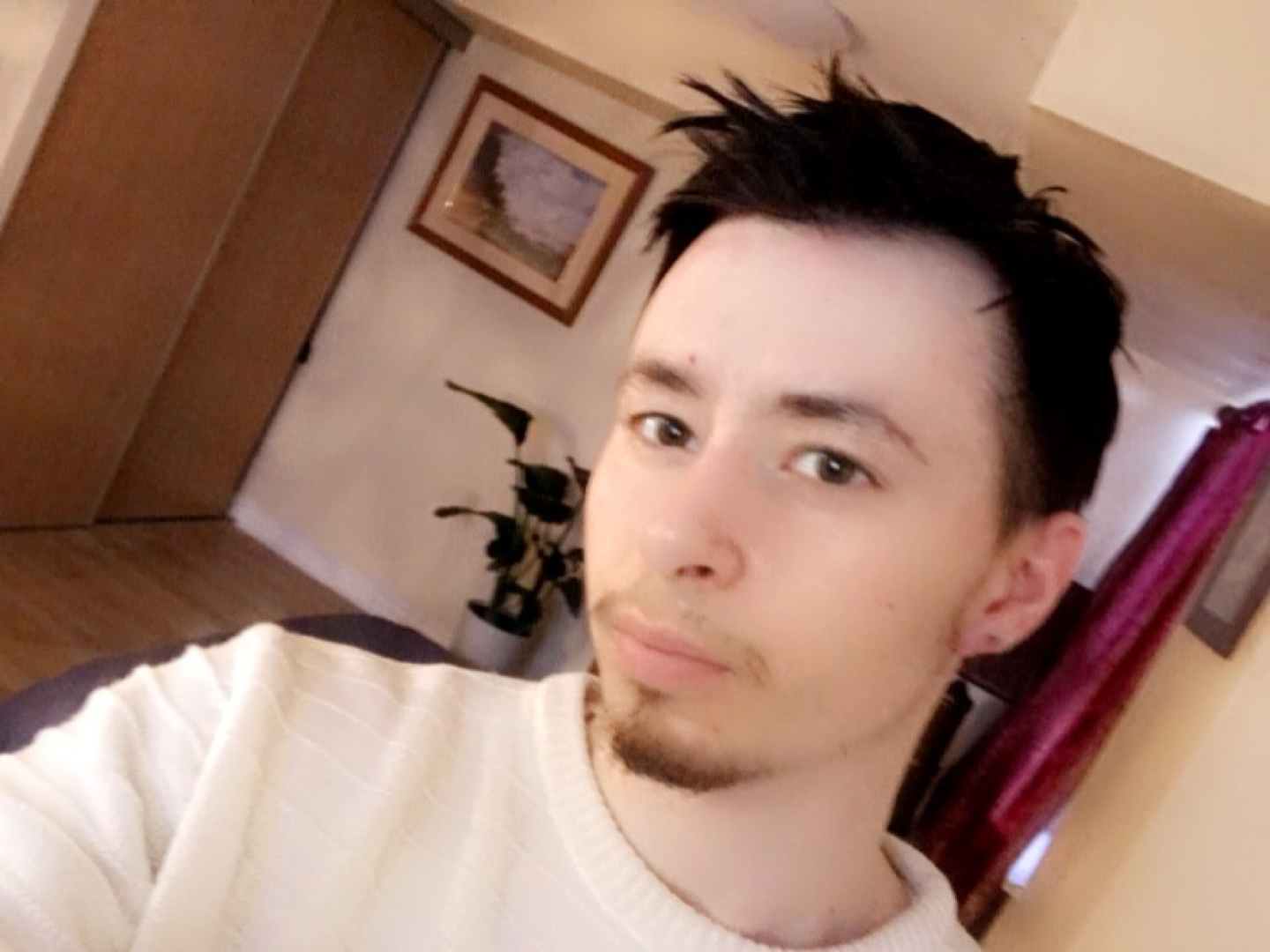 Dima profile