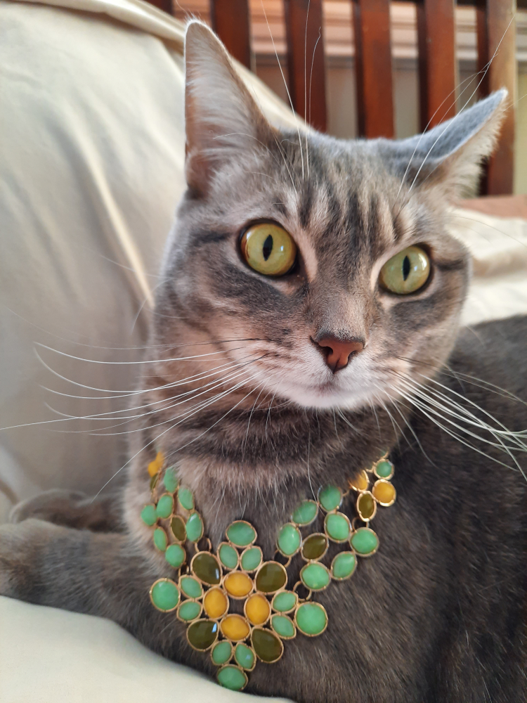 Marie Paisley profile