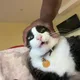 Omar profile