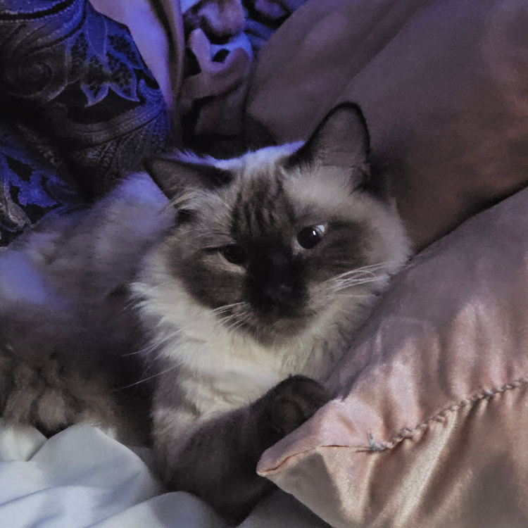 Oliver00 profile