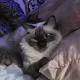 Oliver00 profile