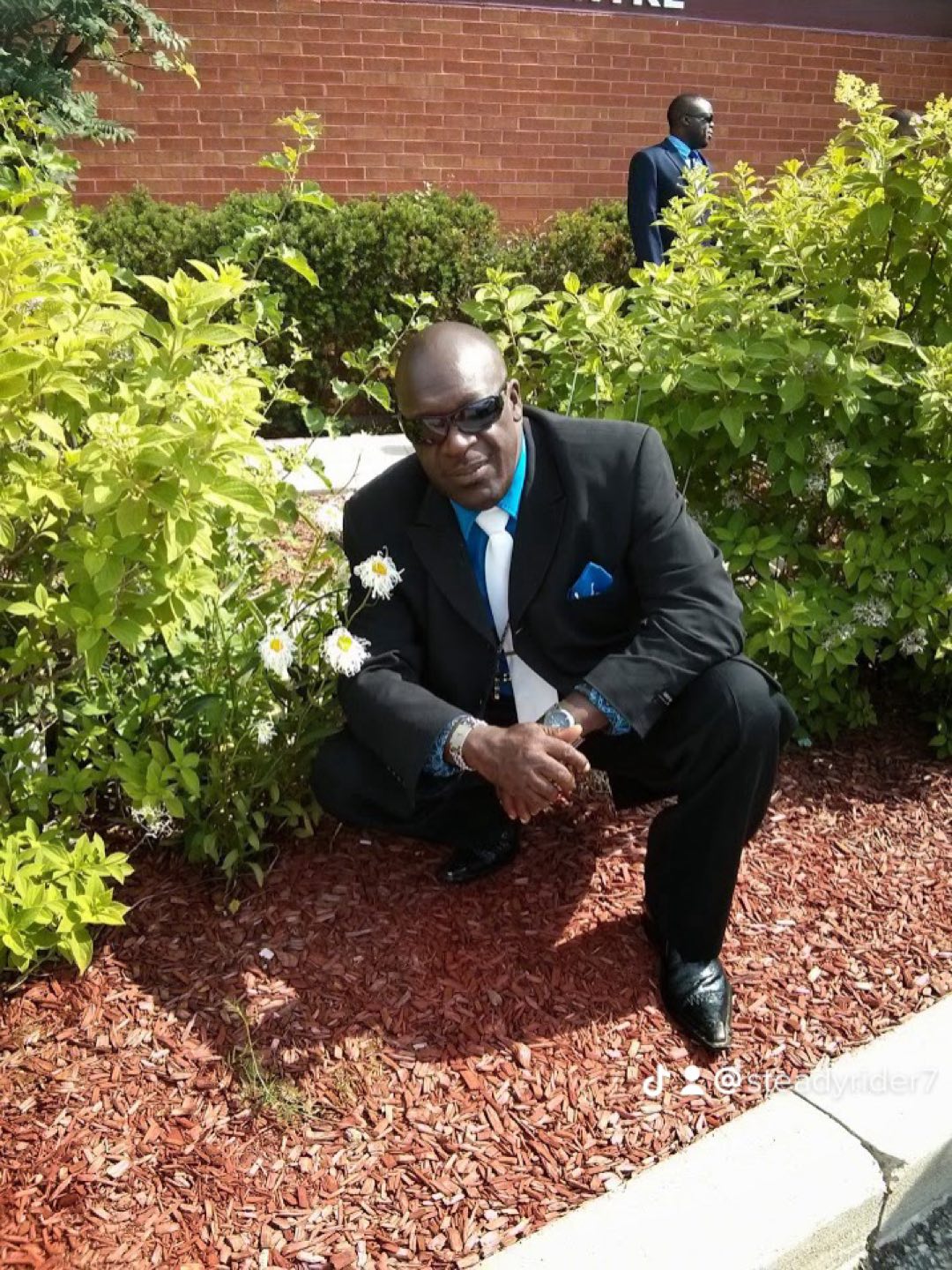 Steadman profile