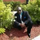 Steadman profile