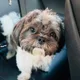 Tammy profile