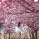Swiftie profile