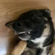 Jay profile