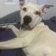 Charlie profile