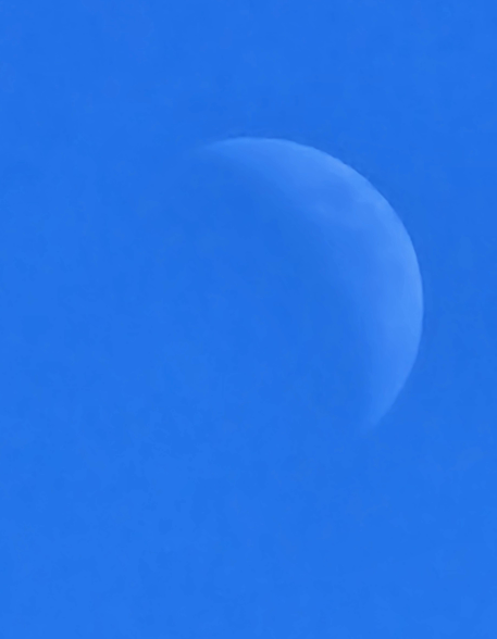 Harshal Kale profile