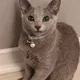 Winson profile