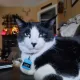 Kitty Michelle profile