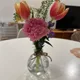Chocomo profile