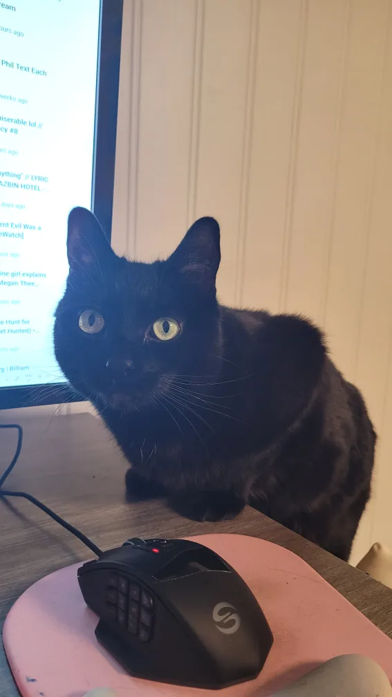 Nelson Brown profile