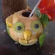 Jake profile