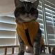 Jzoz profile