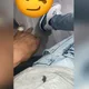 Jason profile