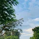 Ankita profile