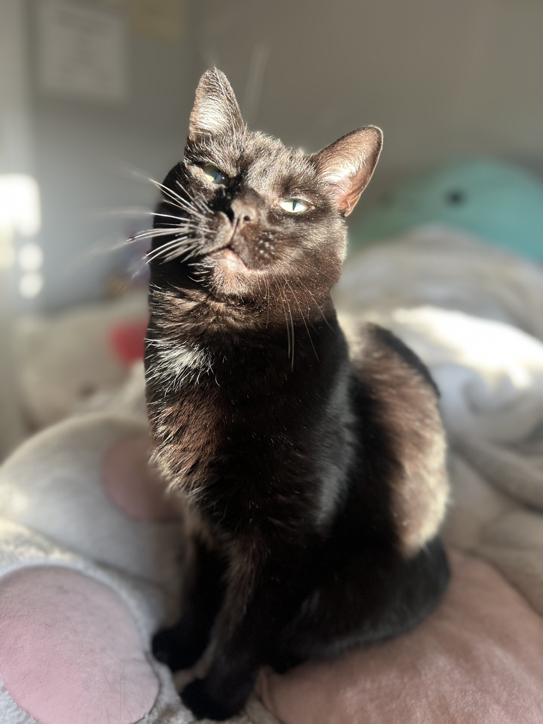 Lucie profile