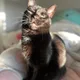 Lucie profile