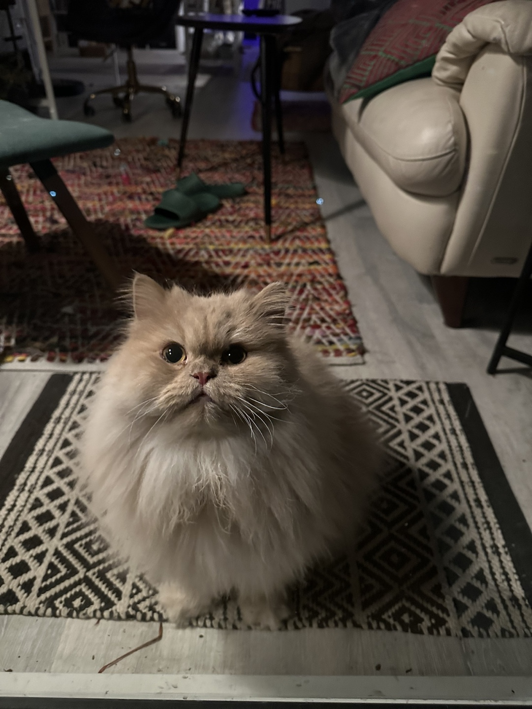 Eissa profile