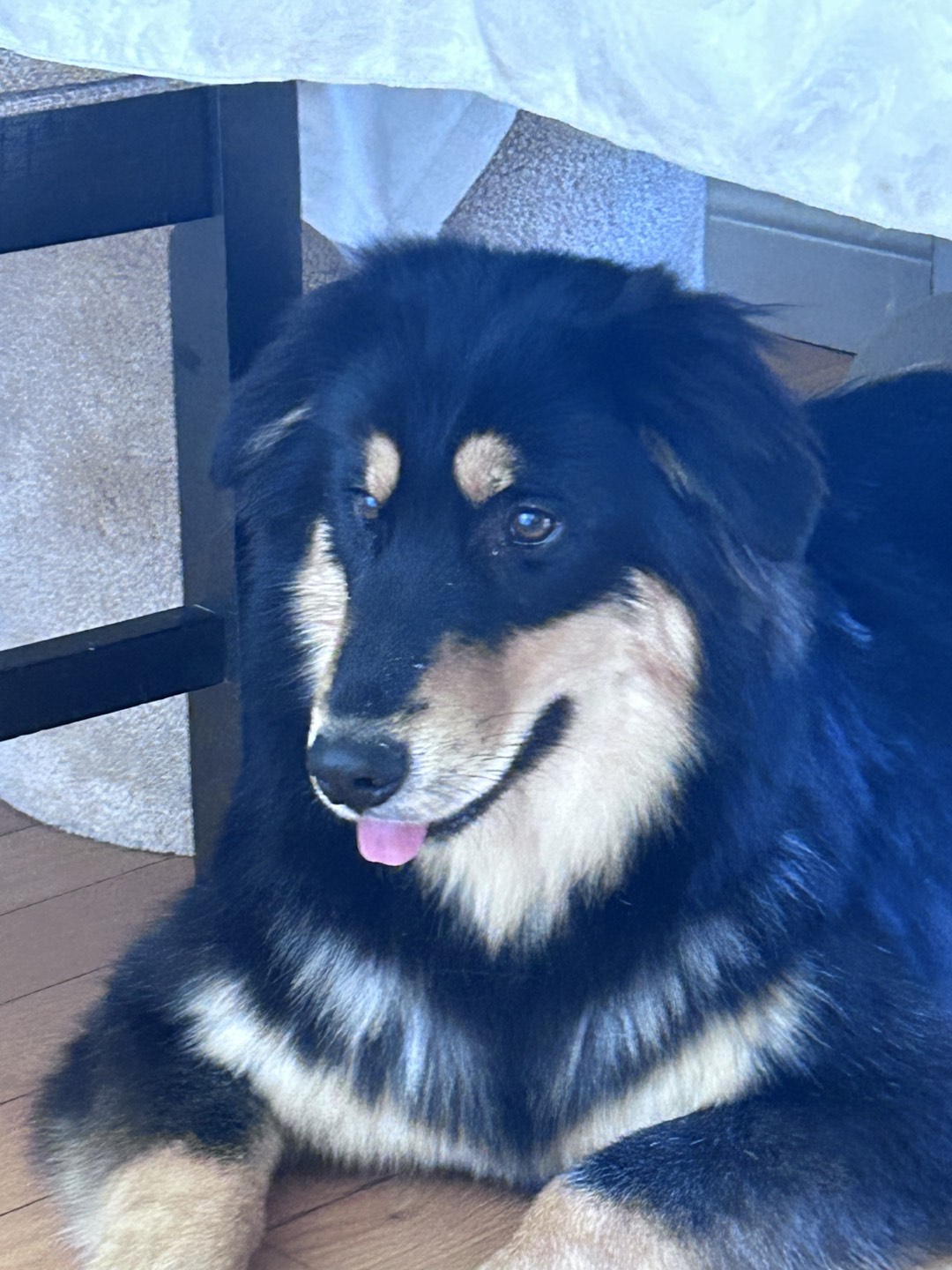 Yan