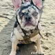 Kukki profile