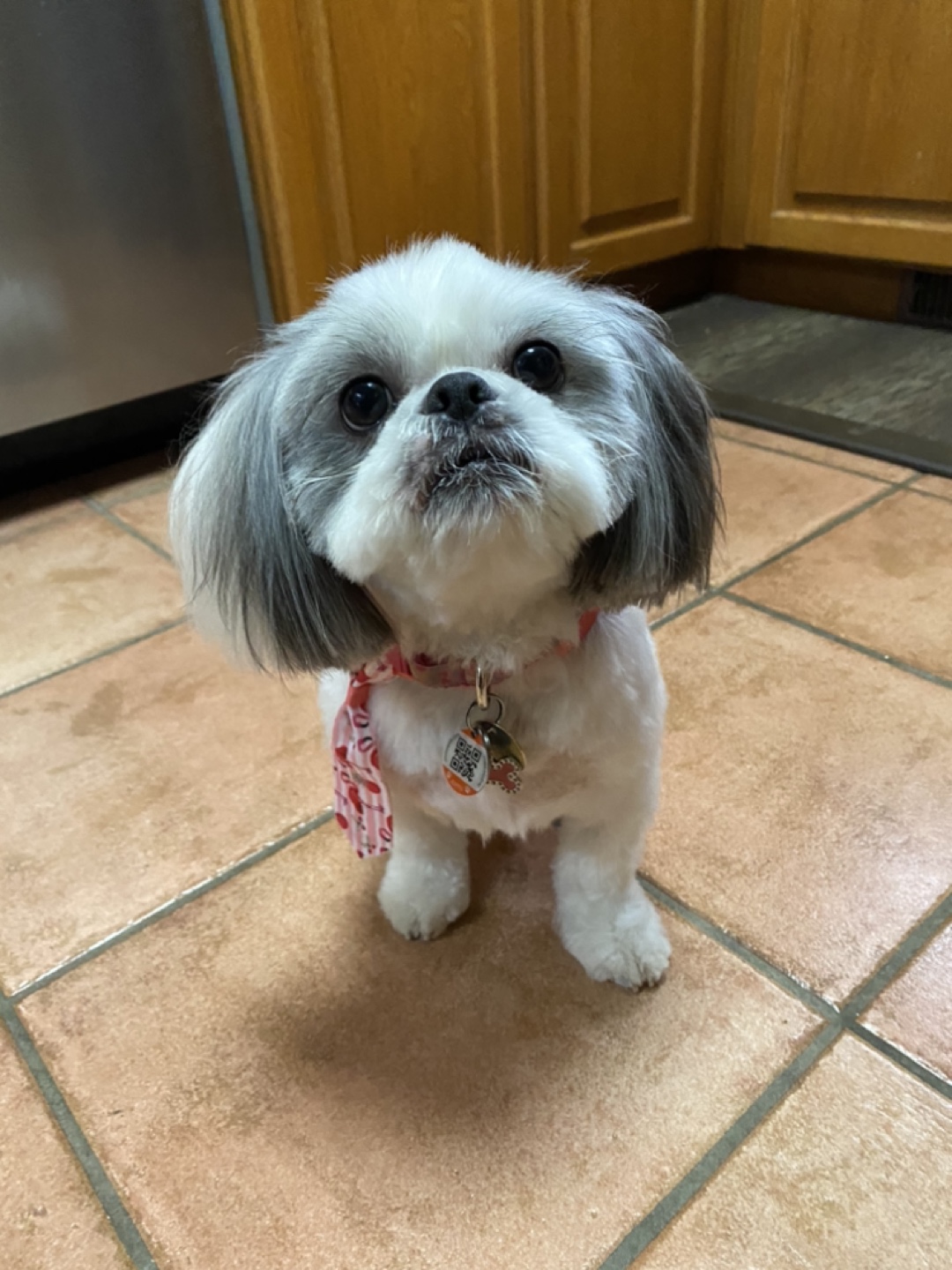 Carla profile