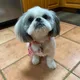 Carla profile