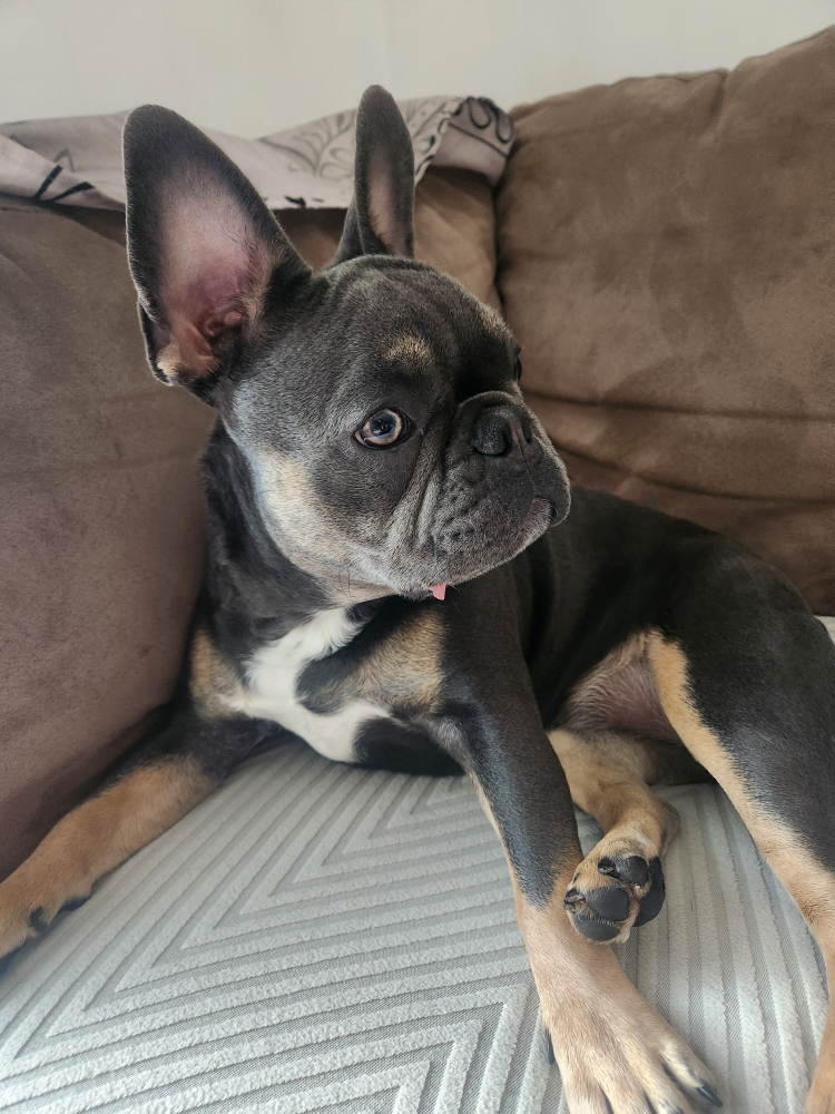 argie profile