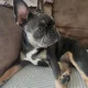 argie profile
