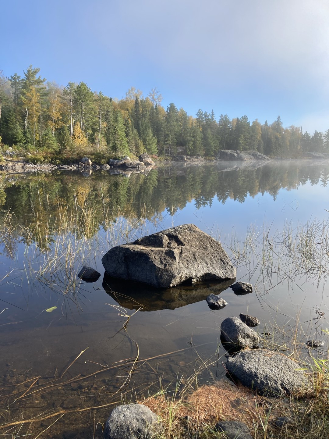 Alcona profile