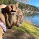 Yolanda profile