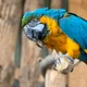 Vee profile