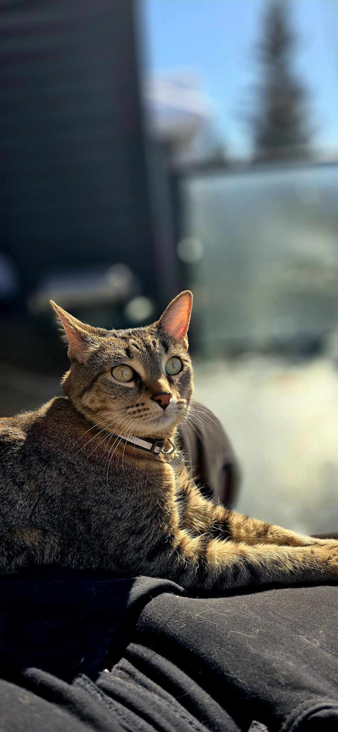 Anja profile