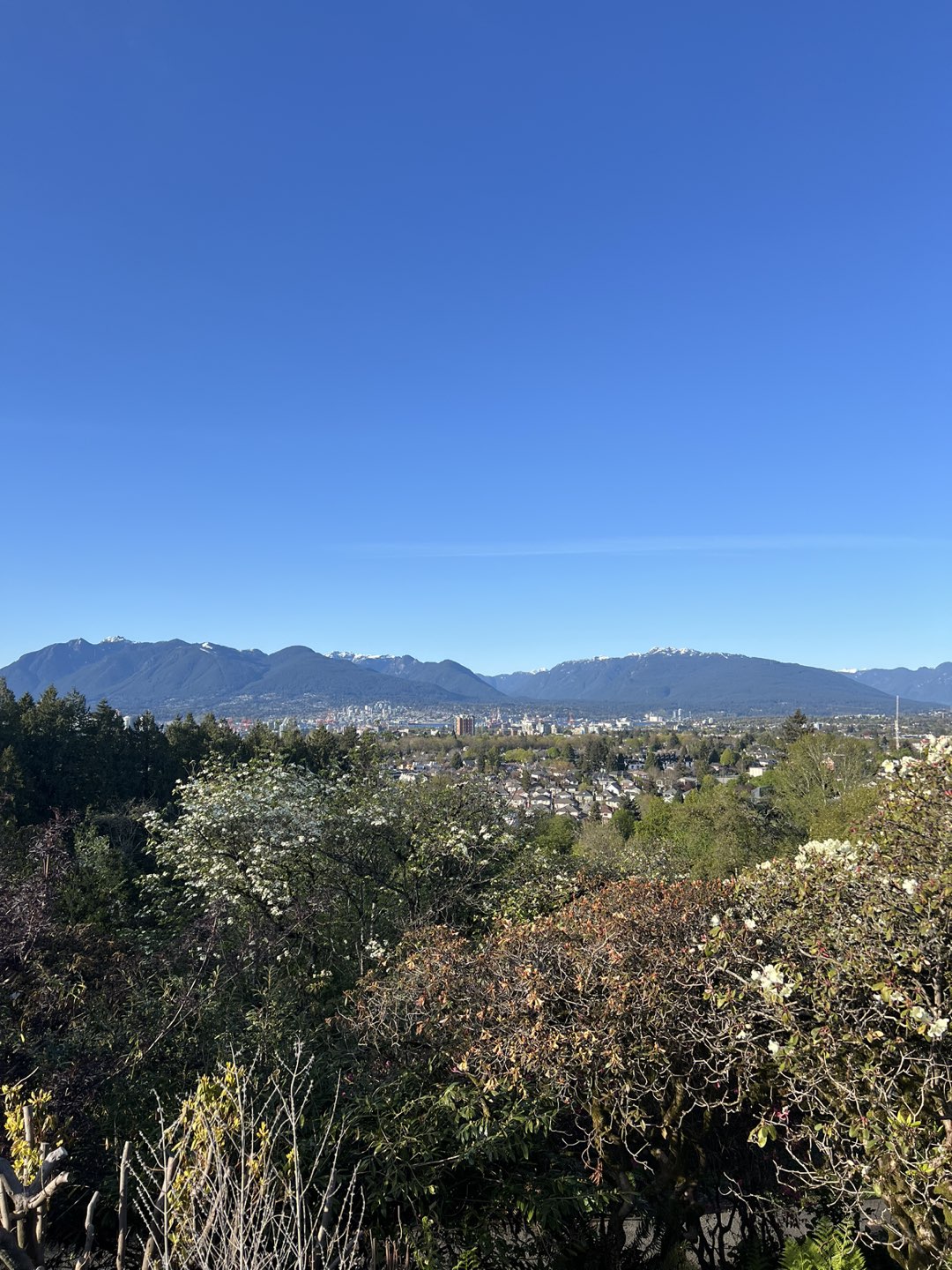 Vancouvermom profile