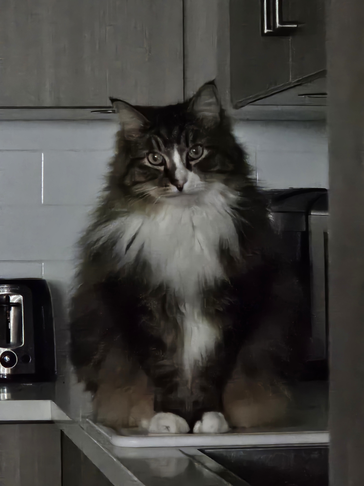 Vlastimir Djoric profile