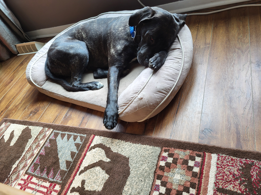 linda matthews profile