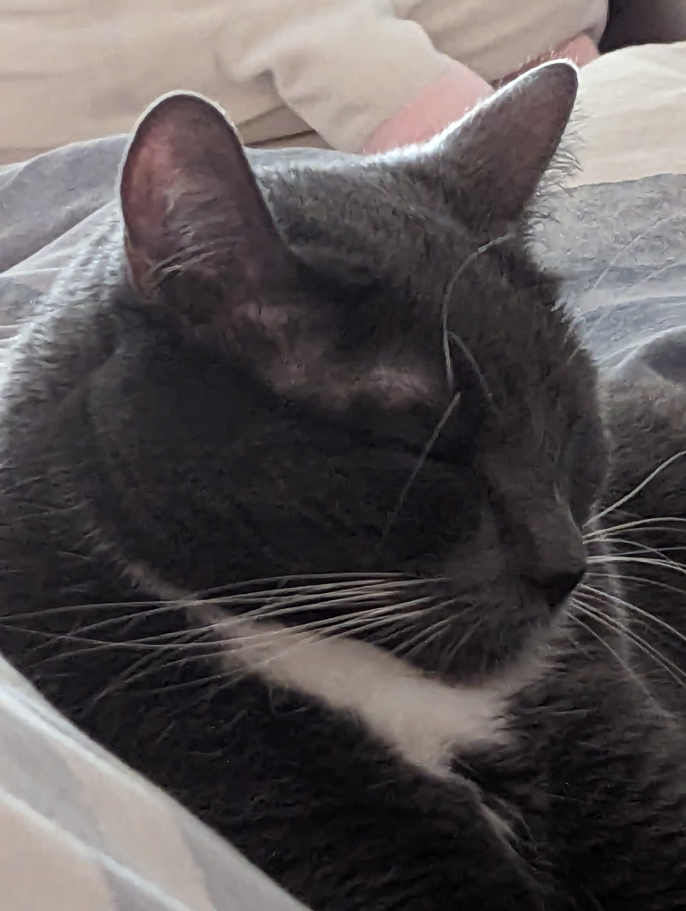 Peter