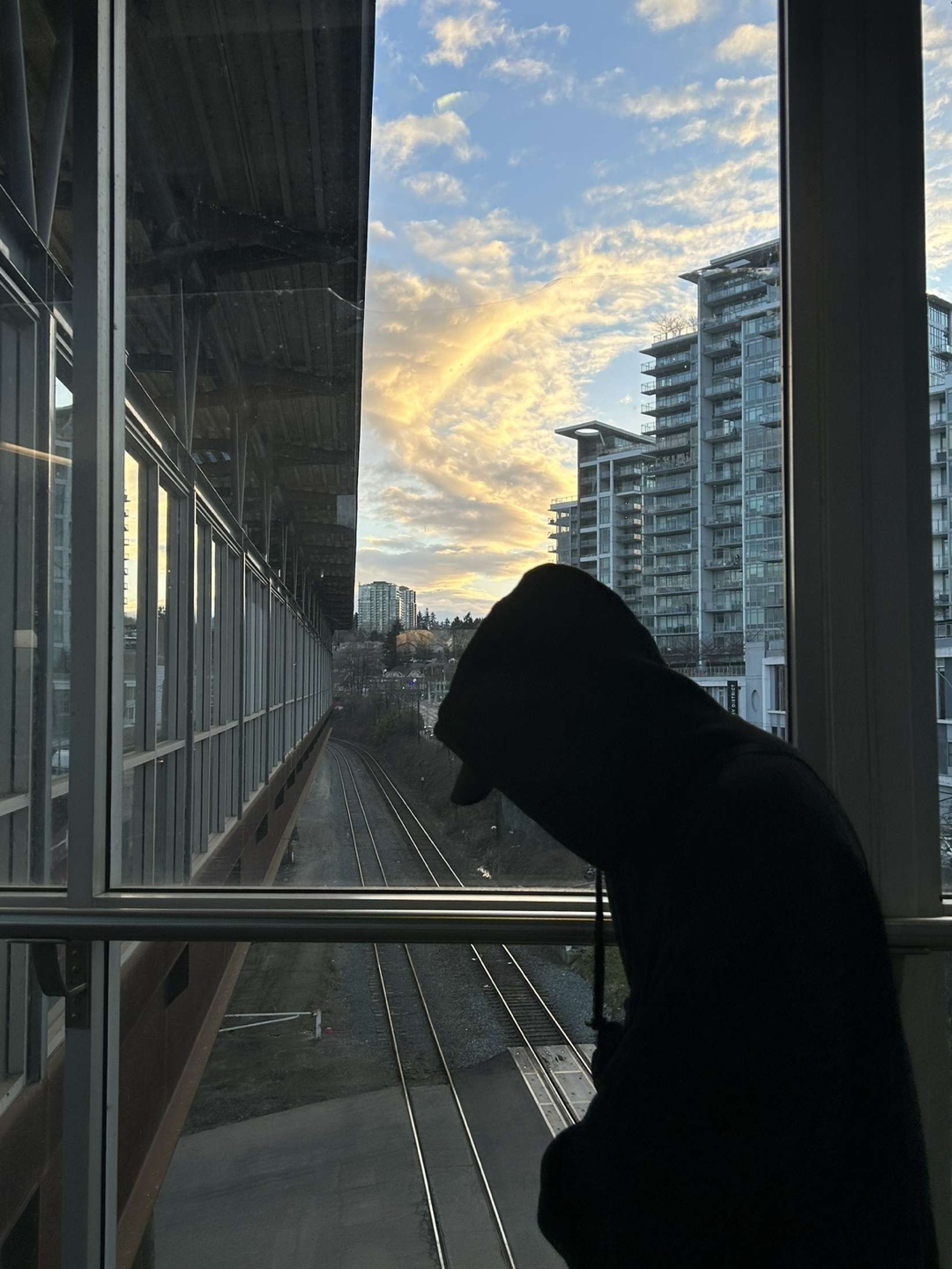 Benjamin profile