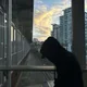 Benjamin profile