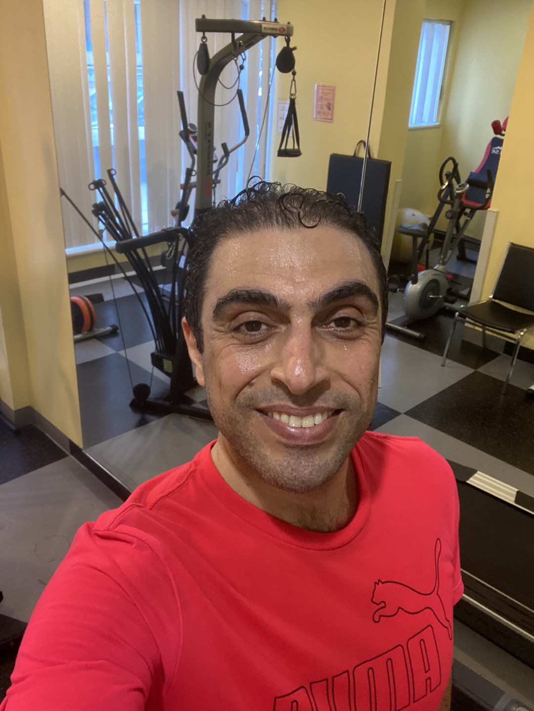 Amir profile