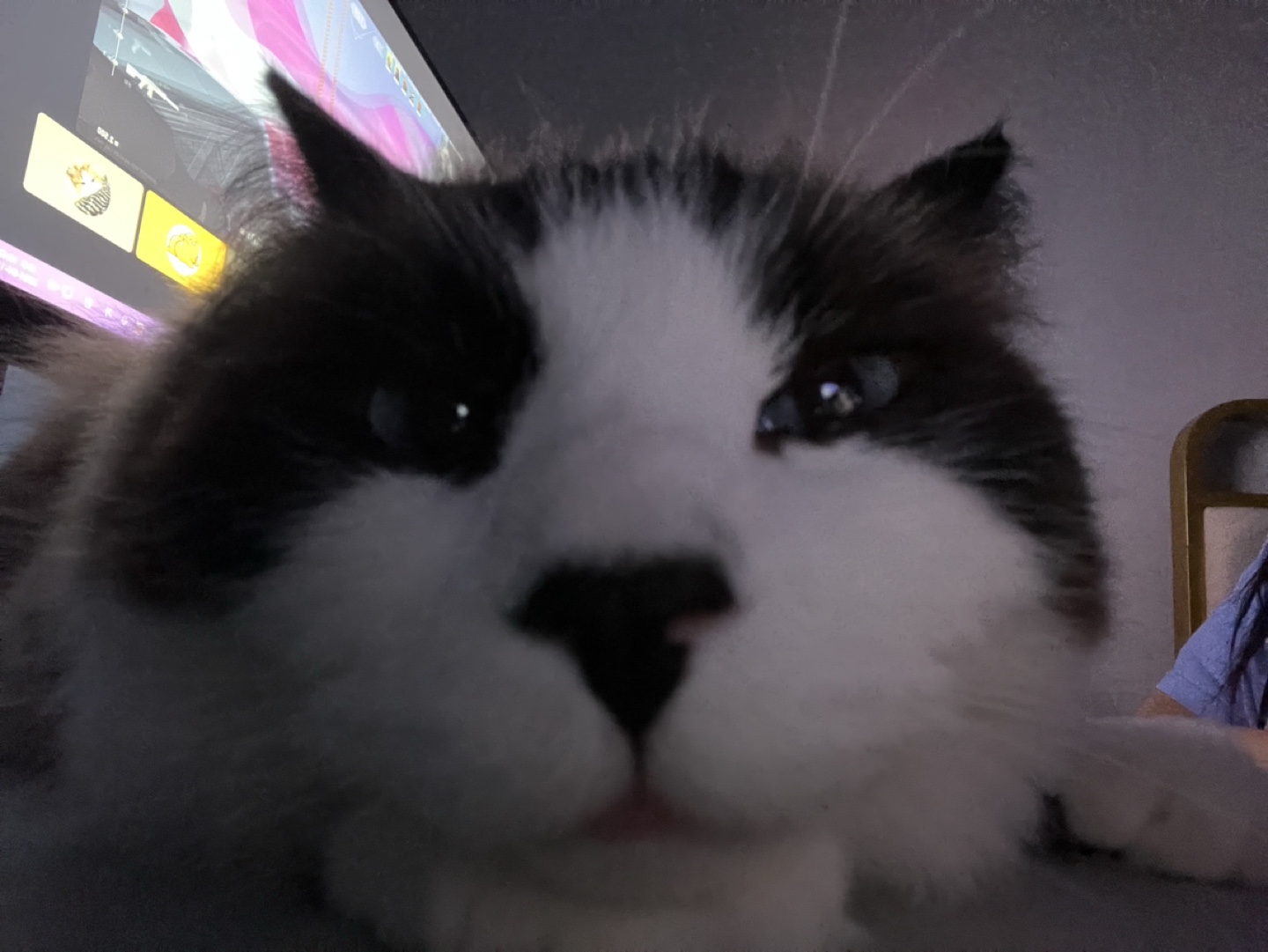 Olivia profile