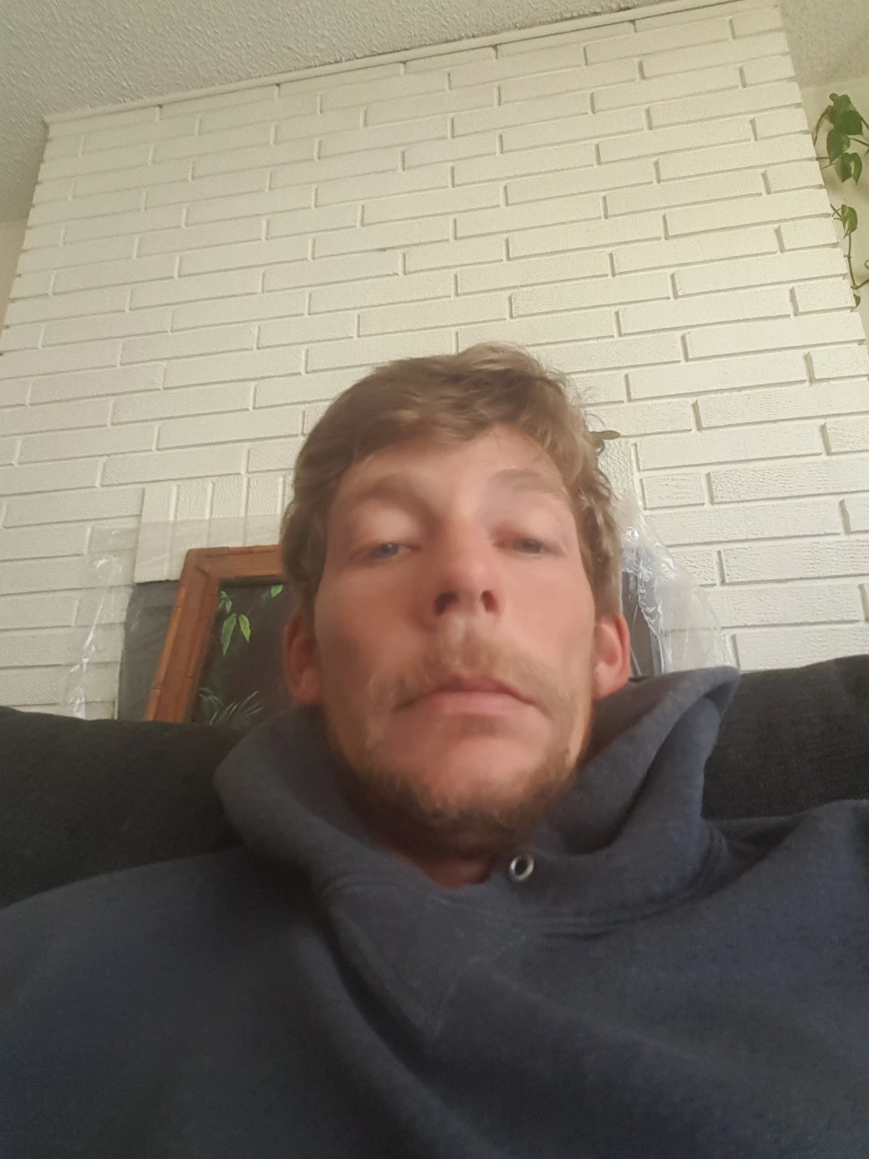 Adam profile