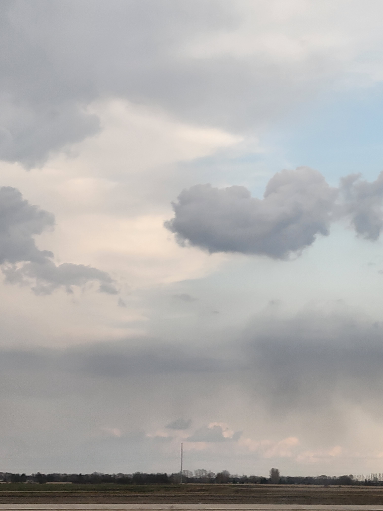 Yasmeen shahzad profile