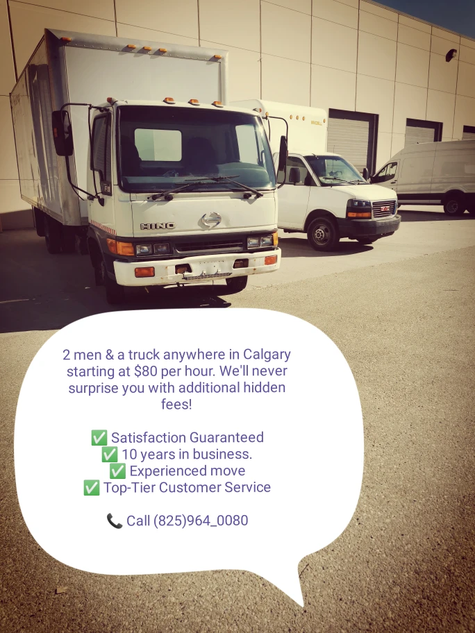 Samer movers profile
